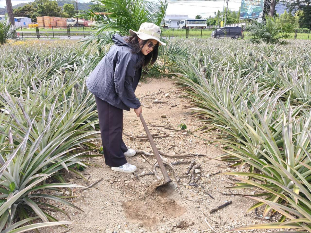 ภาพประกอบที่ 2
