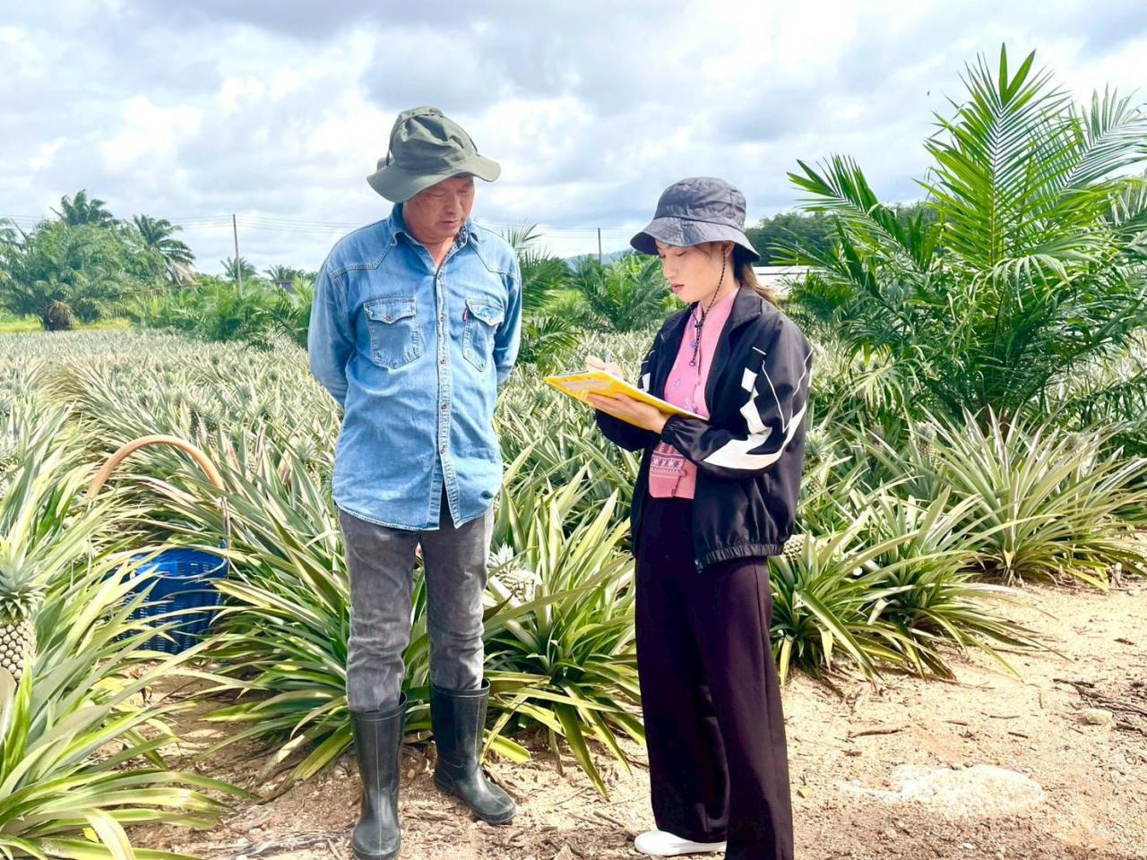 ภาพประกอบที่ 4