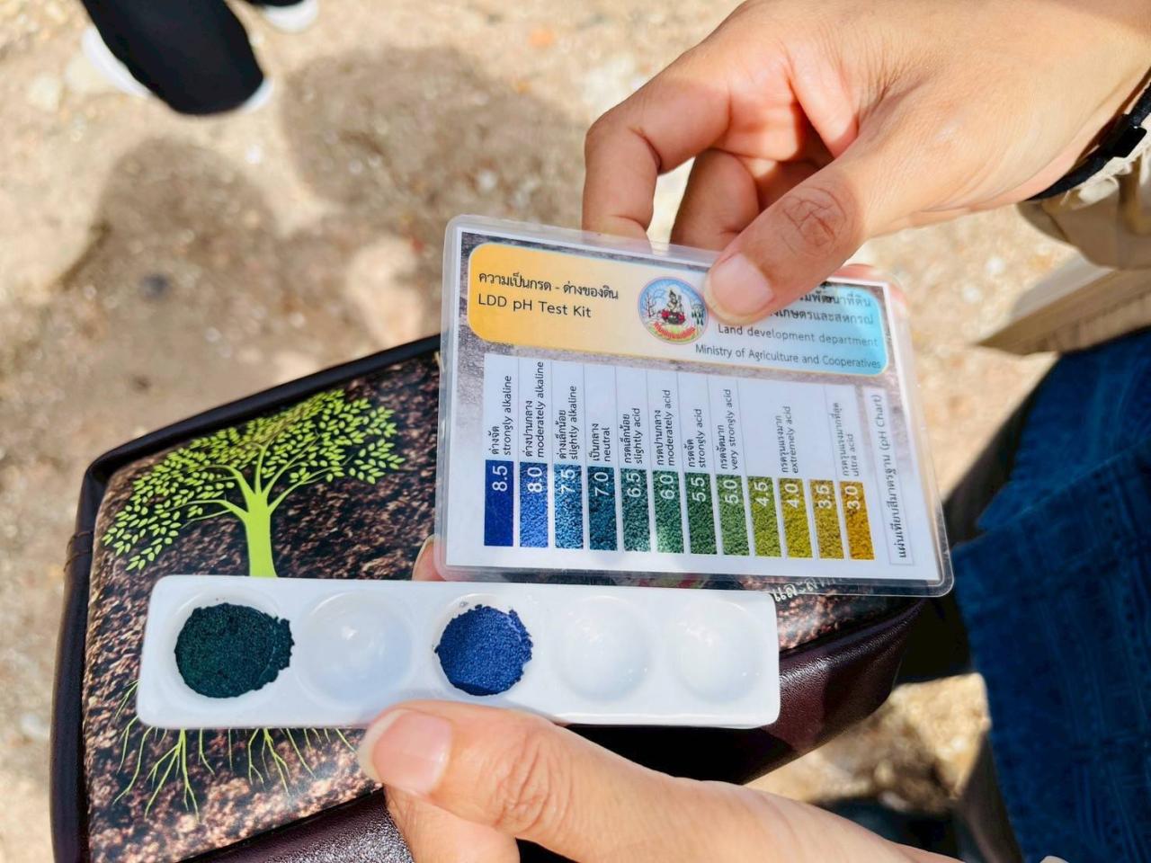 ภาพประกอบที่ 5