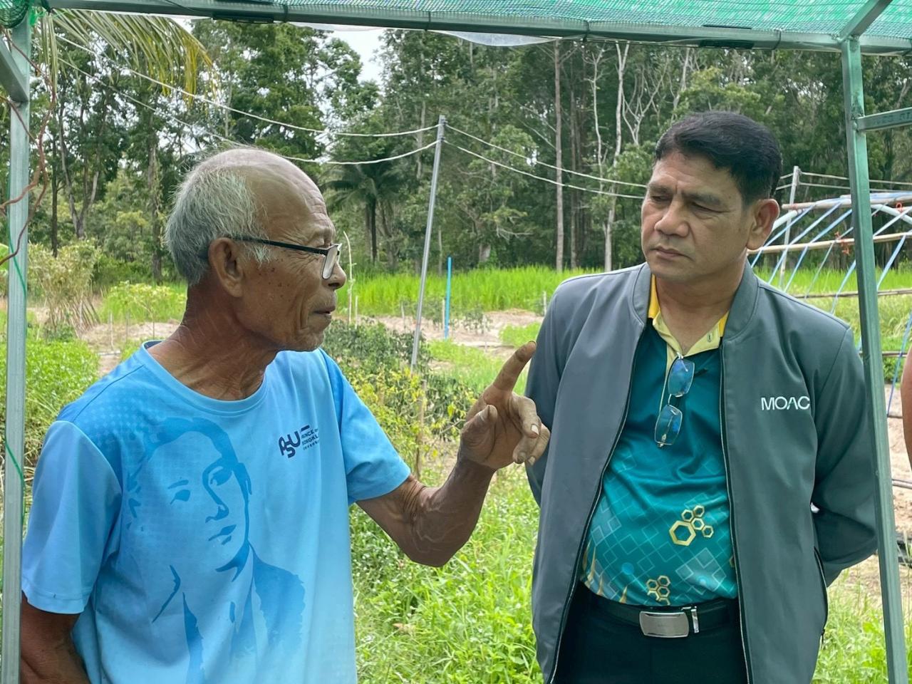 ภาพประกอบที่ 0