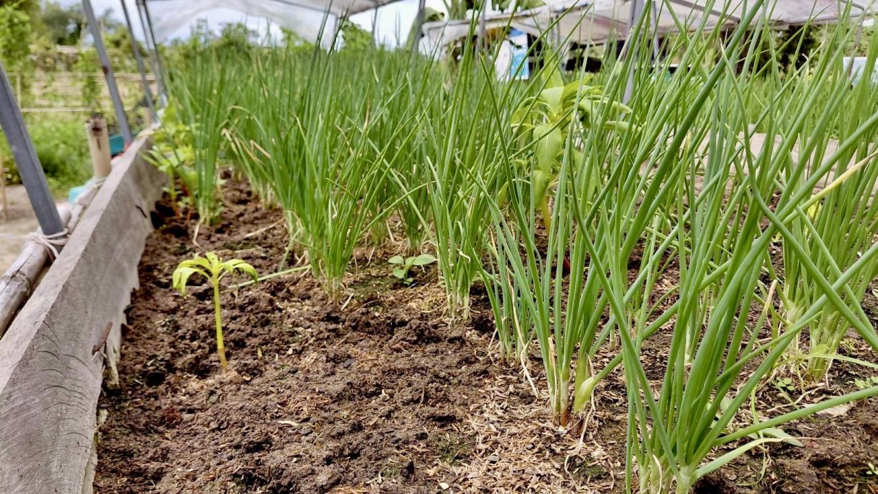 ภาพประกอบที่ 4