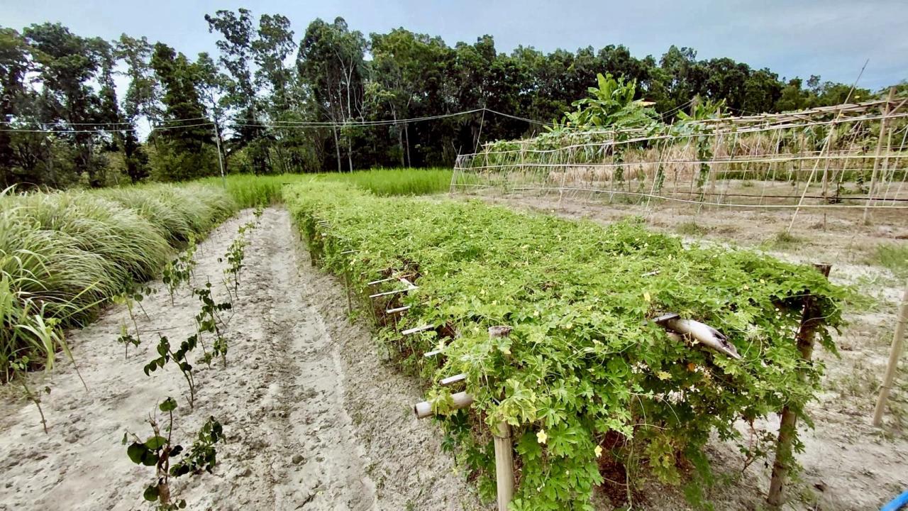 ภาพประกอบที่ 6