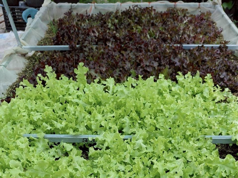 ภาพประกอบที่ 8