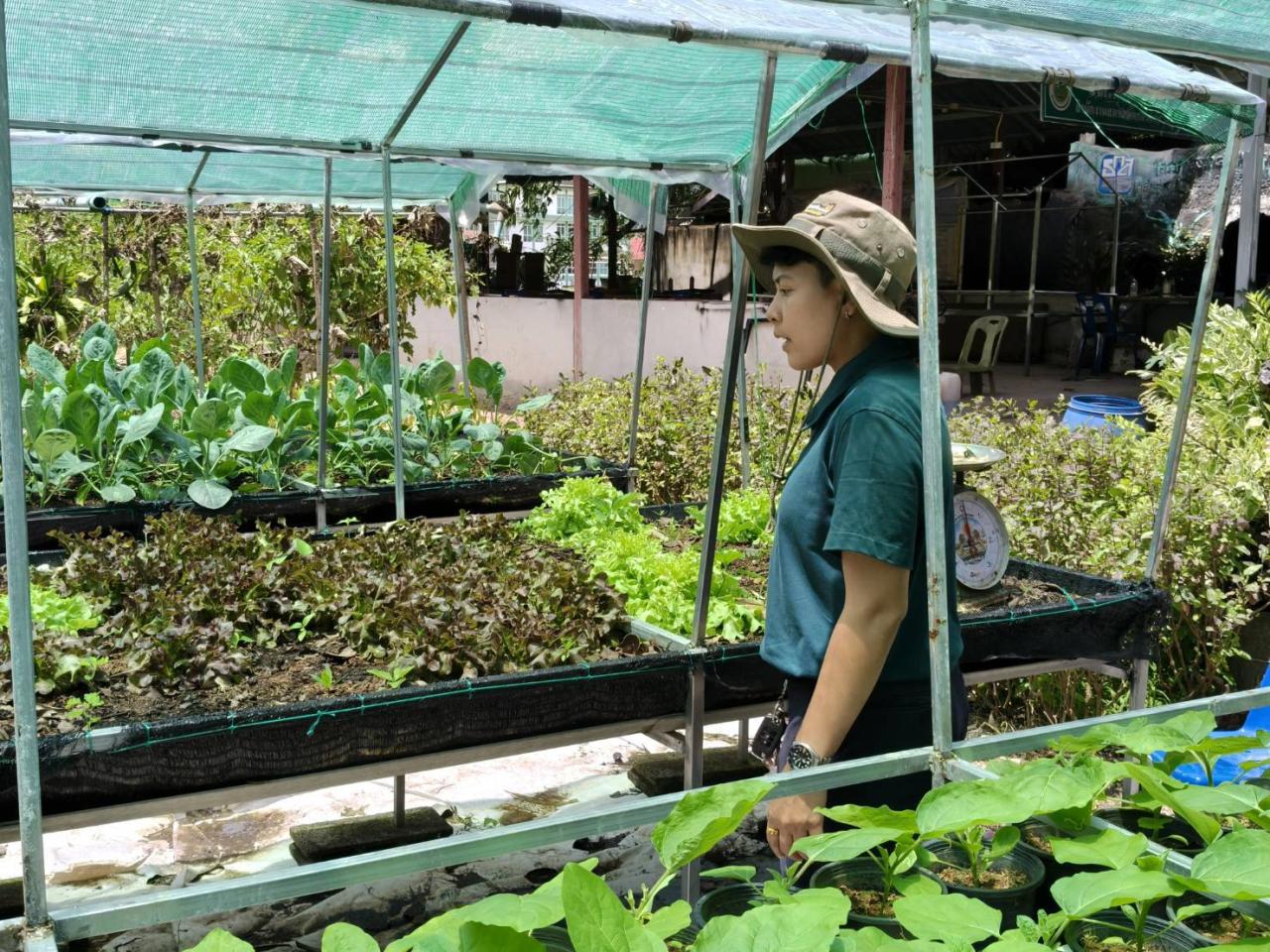 ภาพประกอบที่ 2