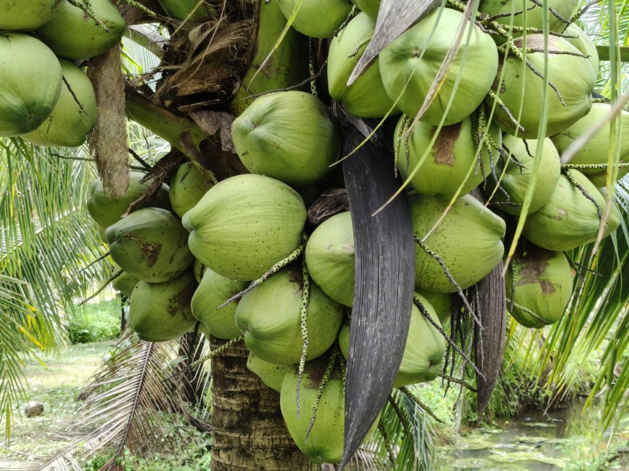 ภาพประกอบที่ 6