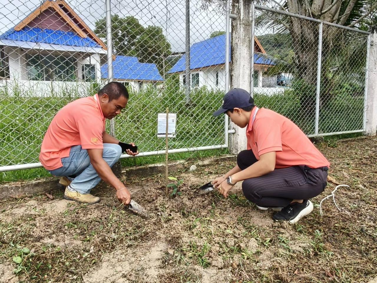 ภาพประกอบที่ 1