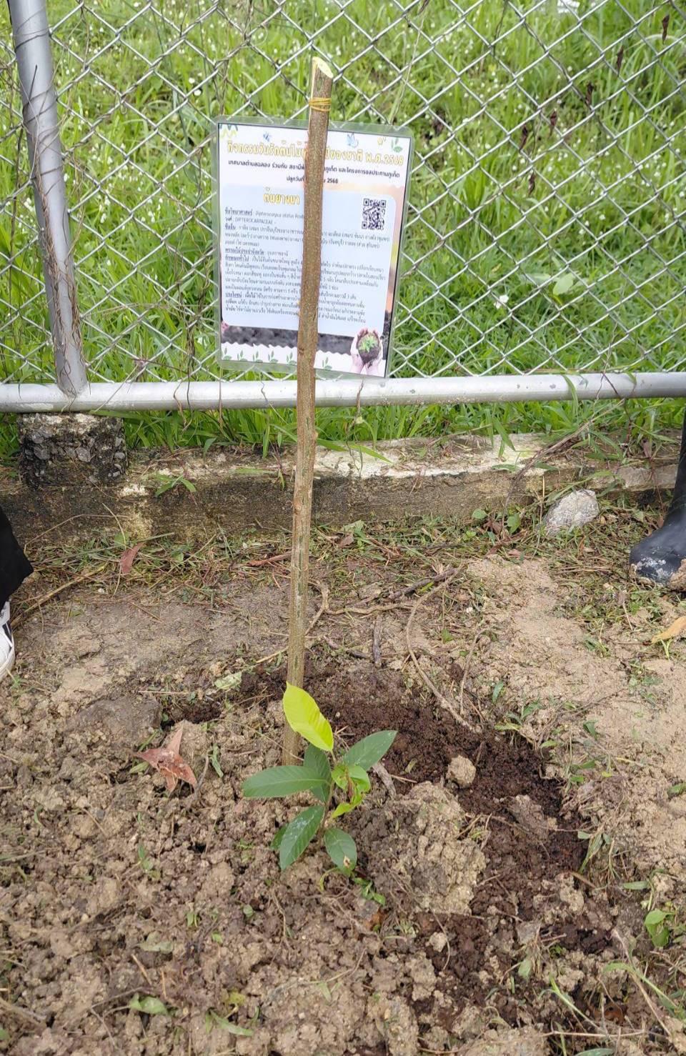 ภาพประกอบที่ 4