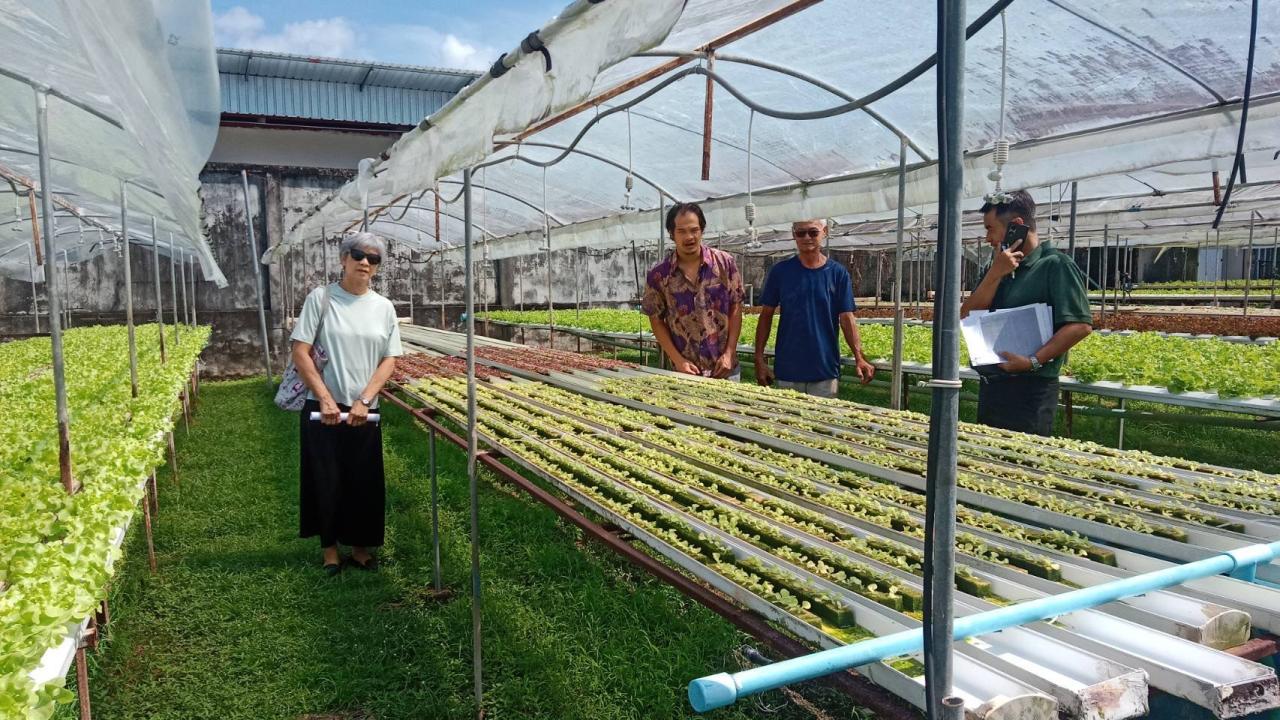 ภาพประกอบที่ 3