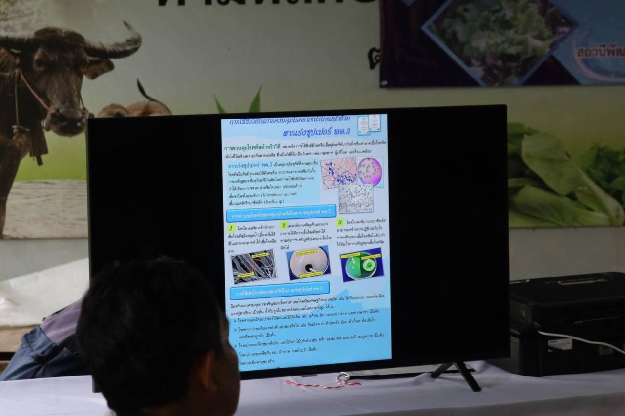 ภาพประกอบที่ 10