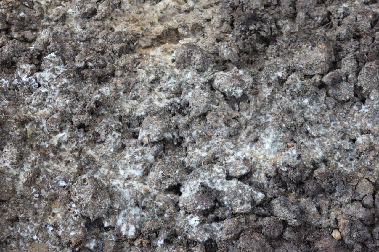 ภาพประกอบที่ 22