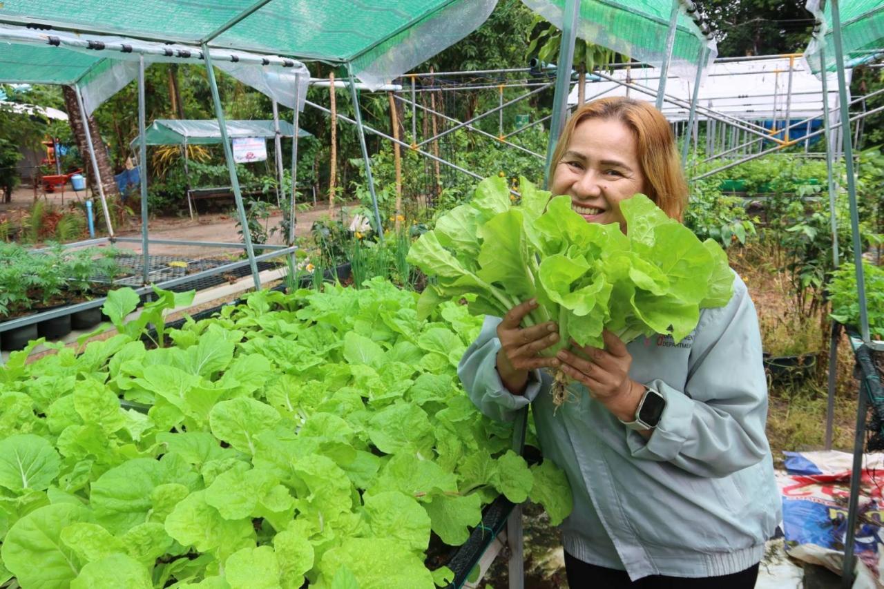 ภาพประกอบที่ 23