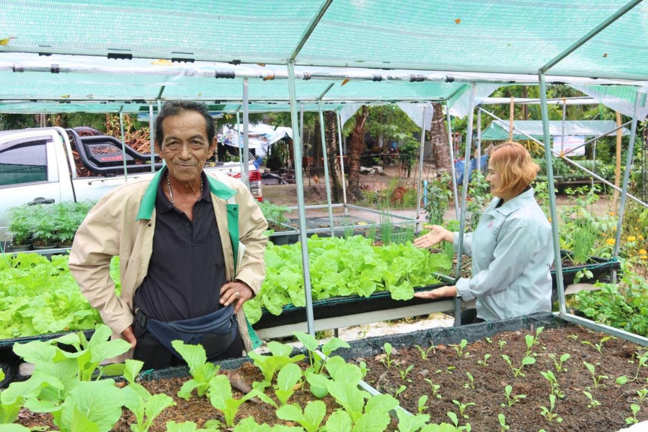 ภาพประกอบที่ 24