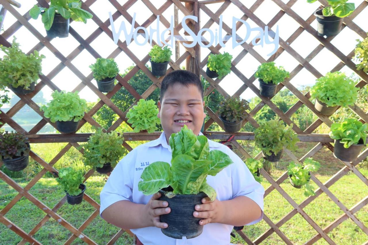 ภาพประกอบที่ 13