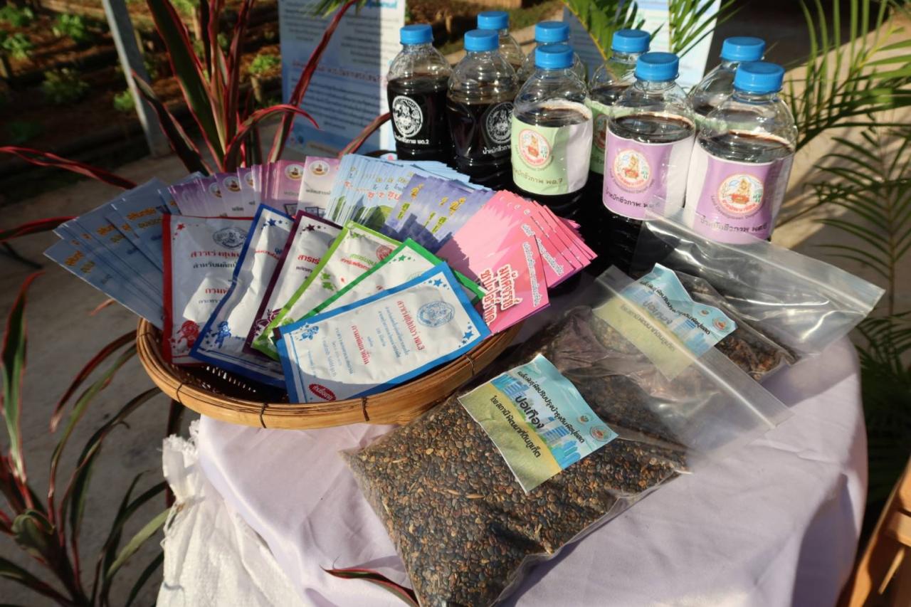 ภาพประกอบที่ 16