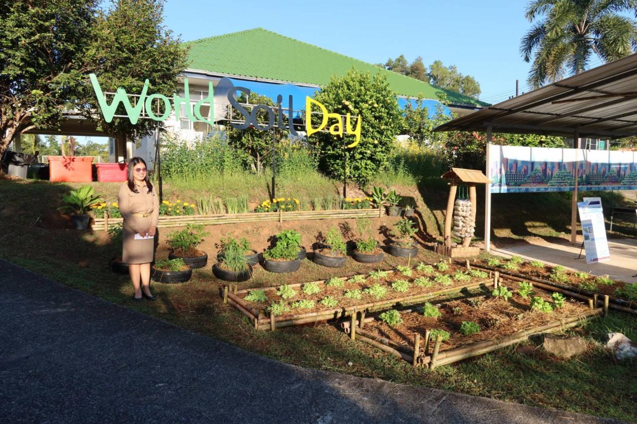 ภาพประกอบที่ 17