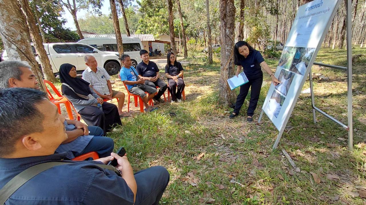 ภาพประกอบที่ 6