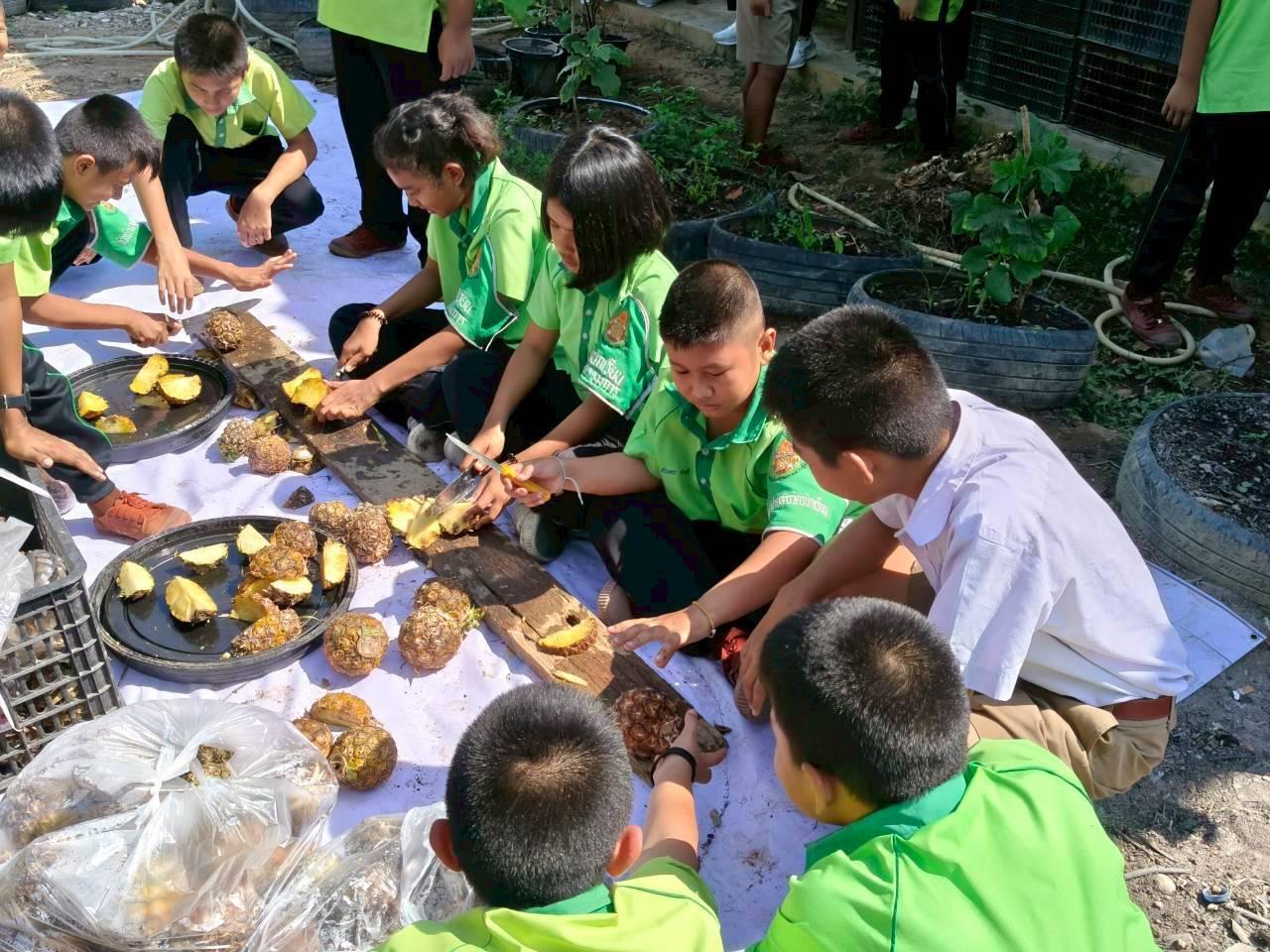 ภาพประกอบที่ 3