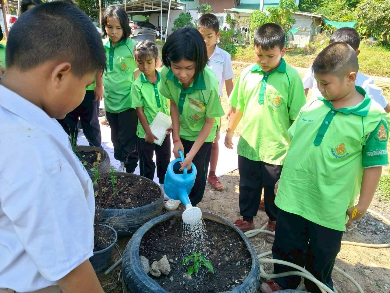 ภาพประกอบที่ 4