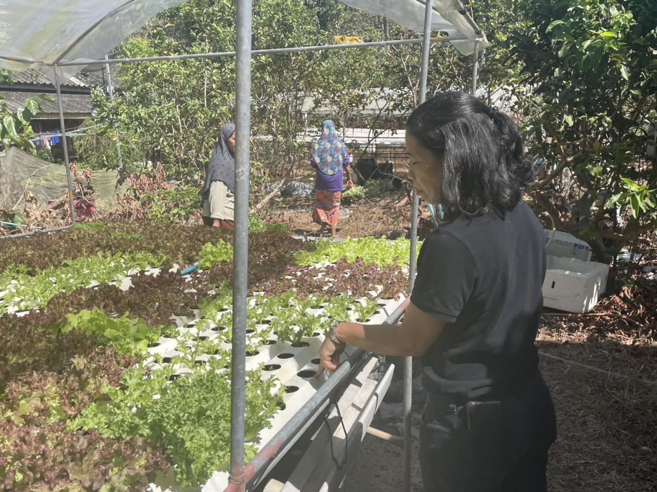 ภาพประกอบที่ 1