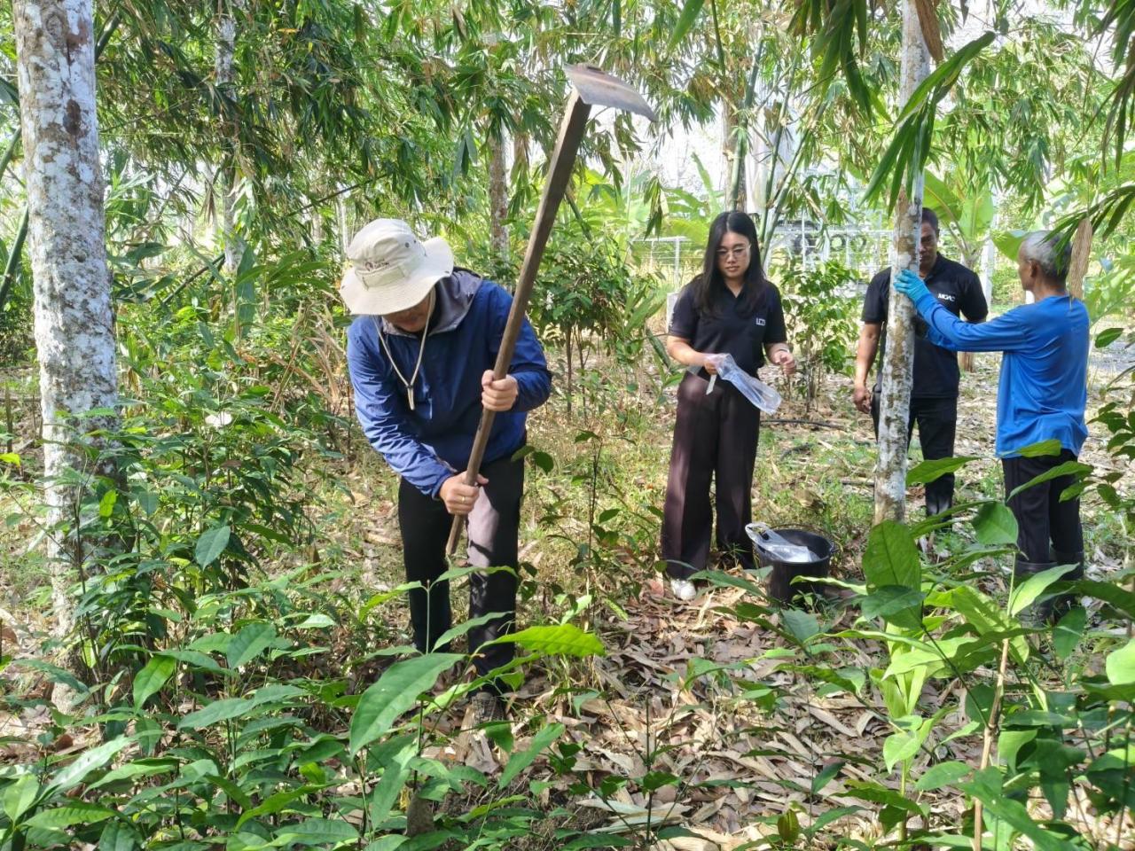 ภาพประกอบที่ 0