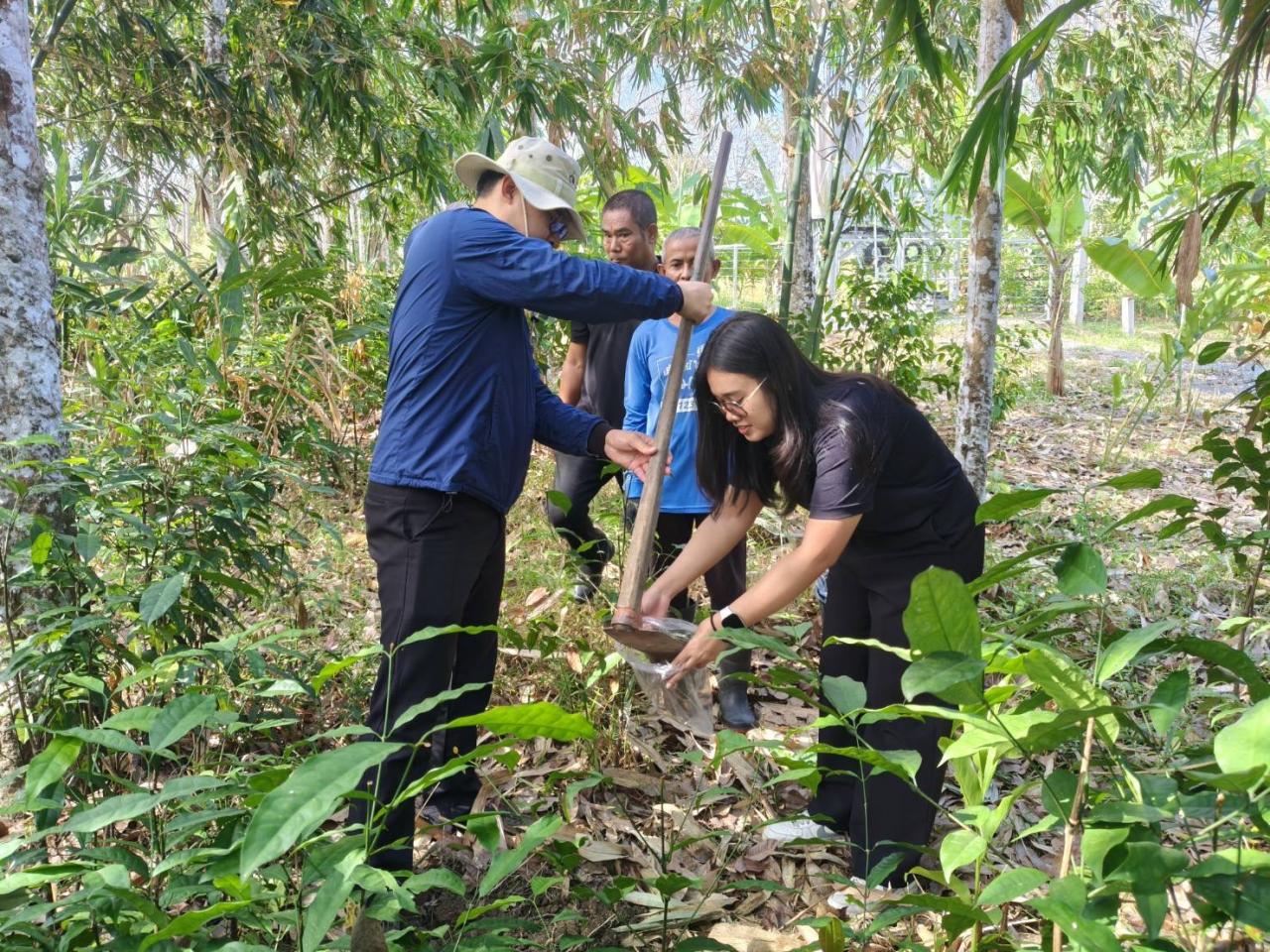 ภาพประกอบที่ 1