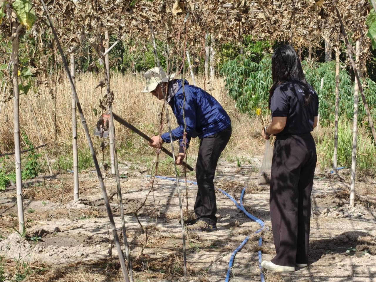 ภาพประกอบที่ 2
