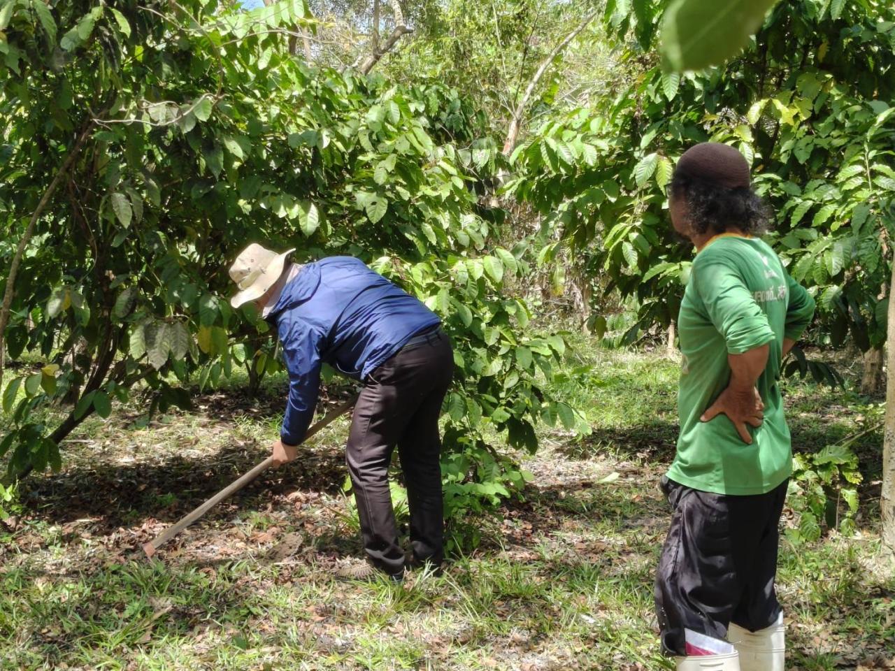 ภาพประกอบที่ 7