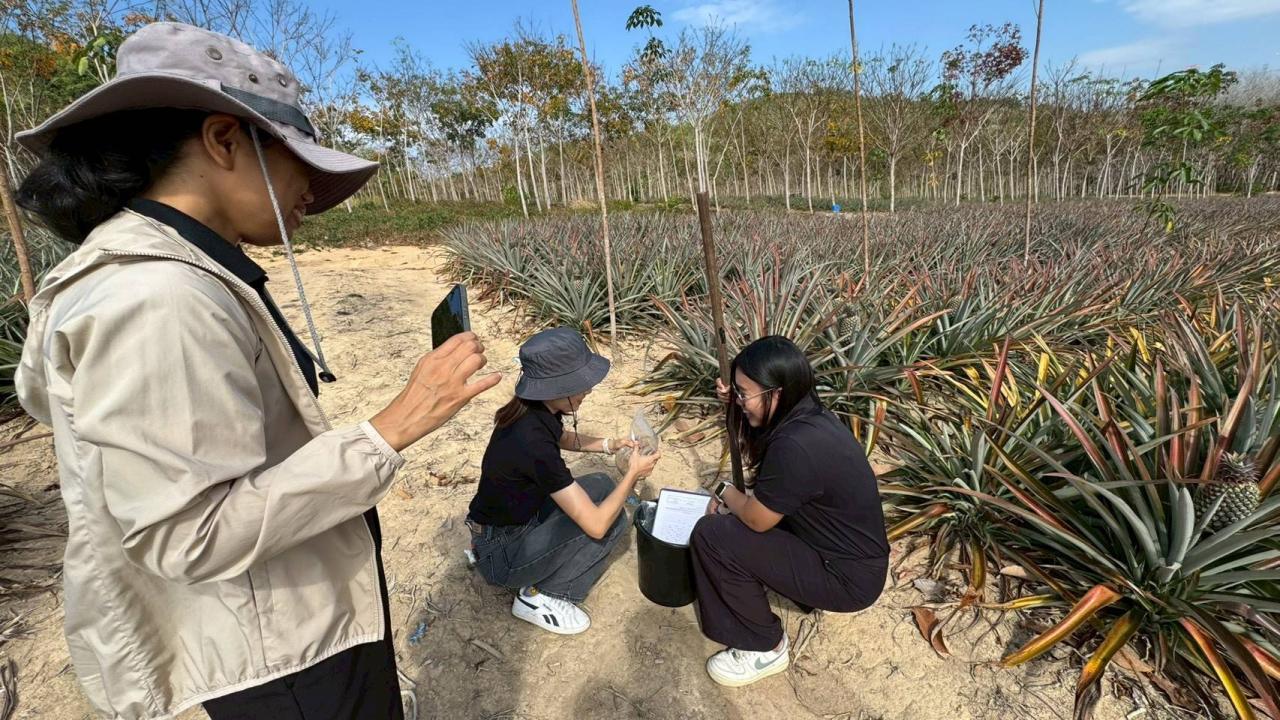 ภาพประกอบที่ 1
