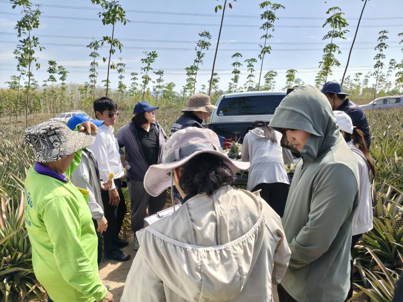 ภาพประกอบที่ 3