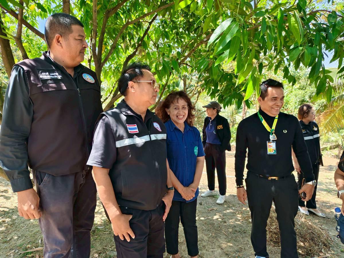 ภาพประกอบที่ 10