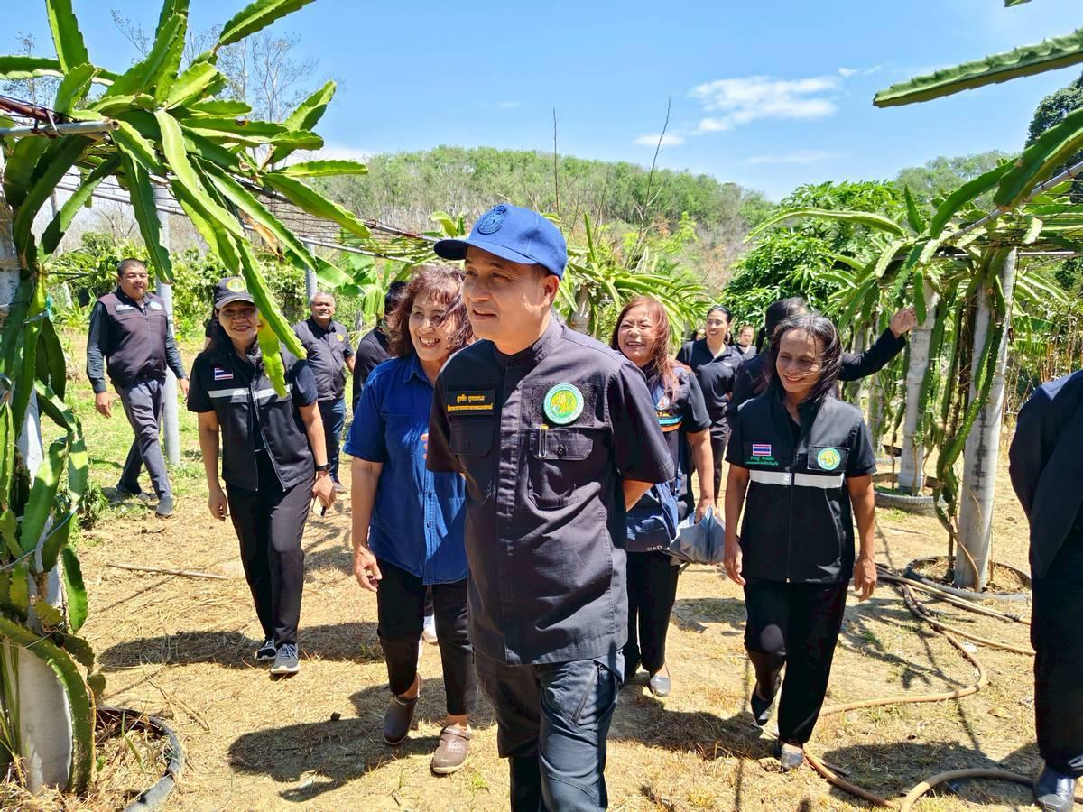 ภาพประกอบที่ 11