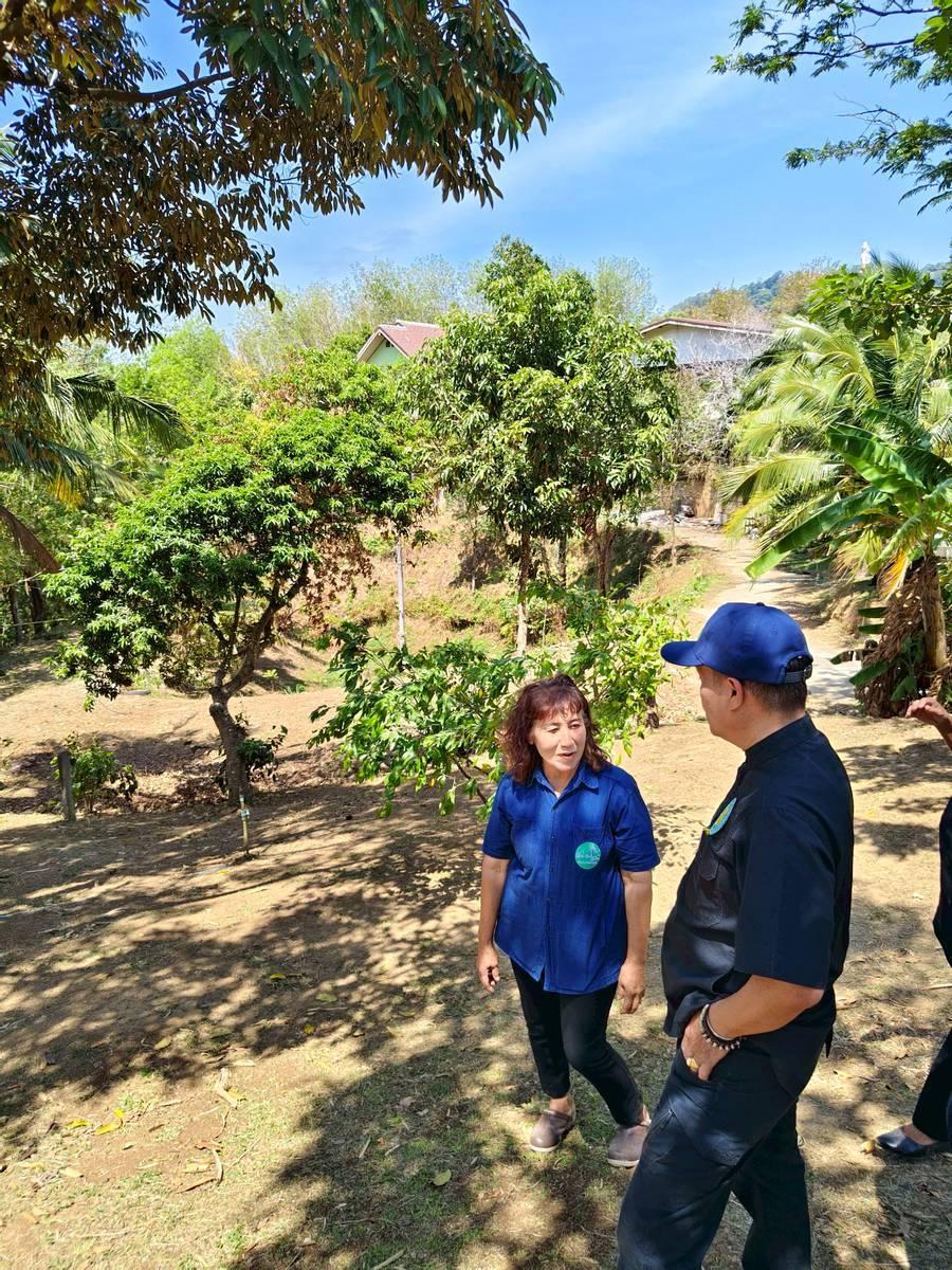 ภาพประกอบที่ 12