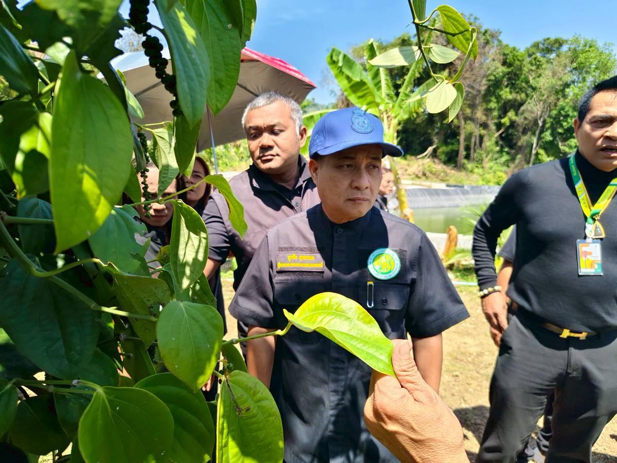 ภาพประกอบที่ 14