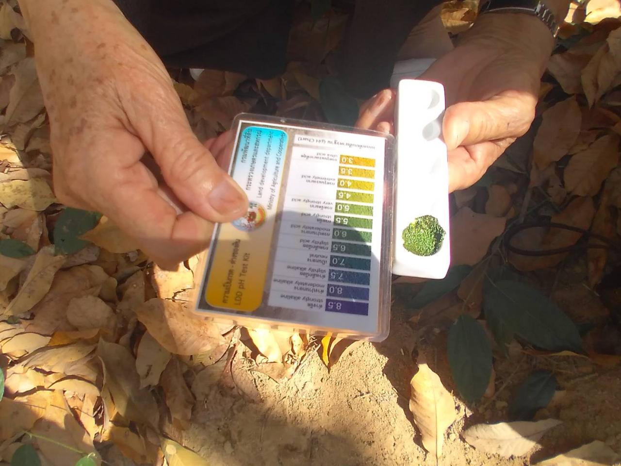 ภาพประกอบที่ 6