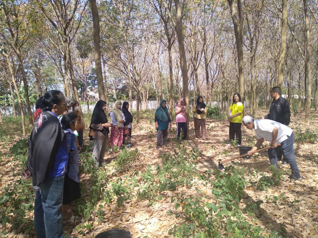 ภาพประกอบที่ 3