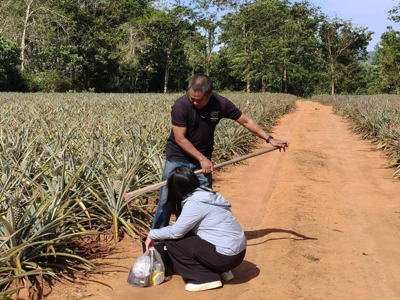 ภาพประกอบที่ 2