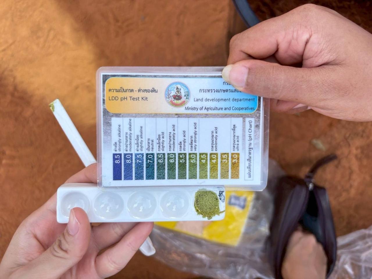 ภาพประกอบที่ 3