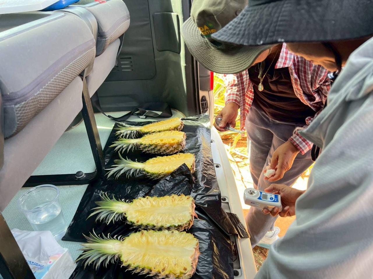 ภาพประกอบที่ 4