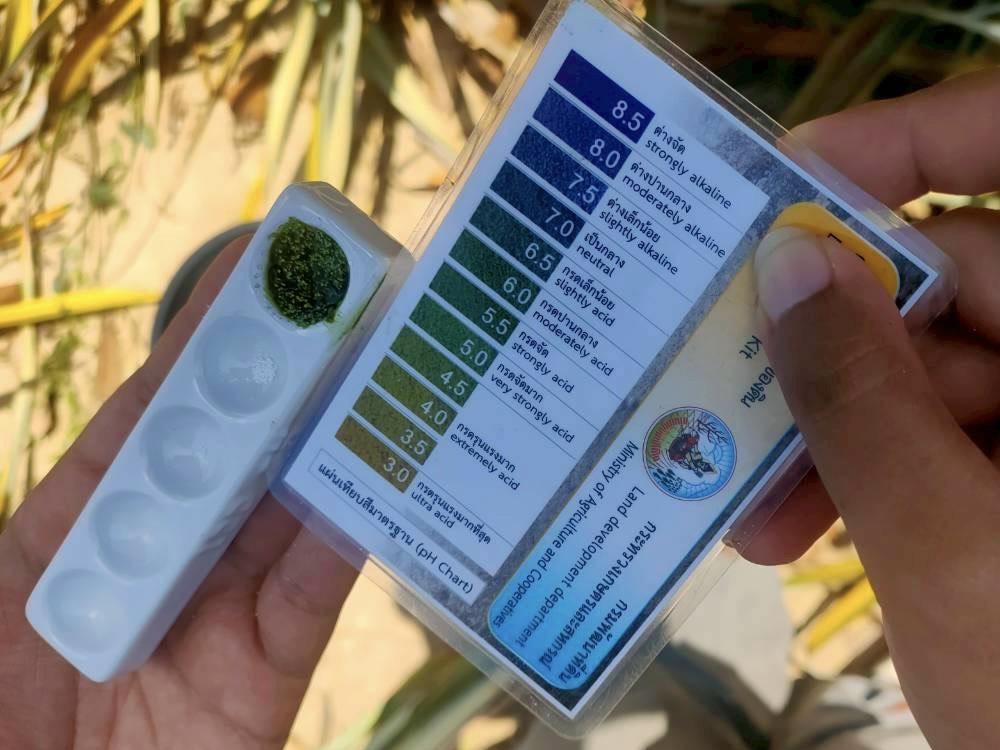 ภาพประกอบที่ 2