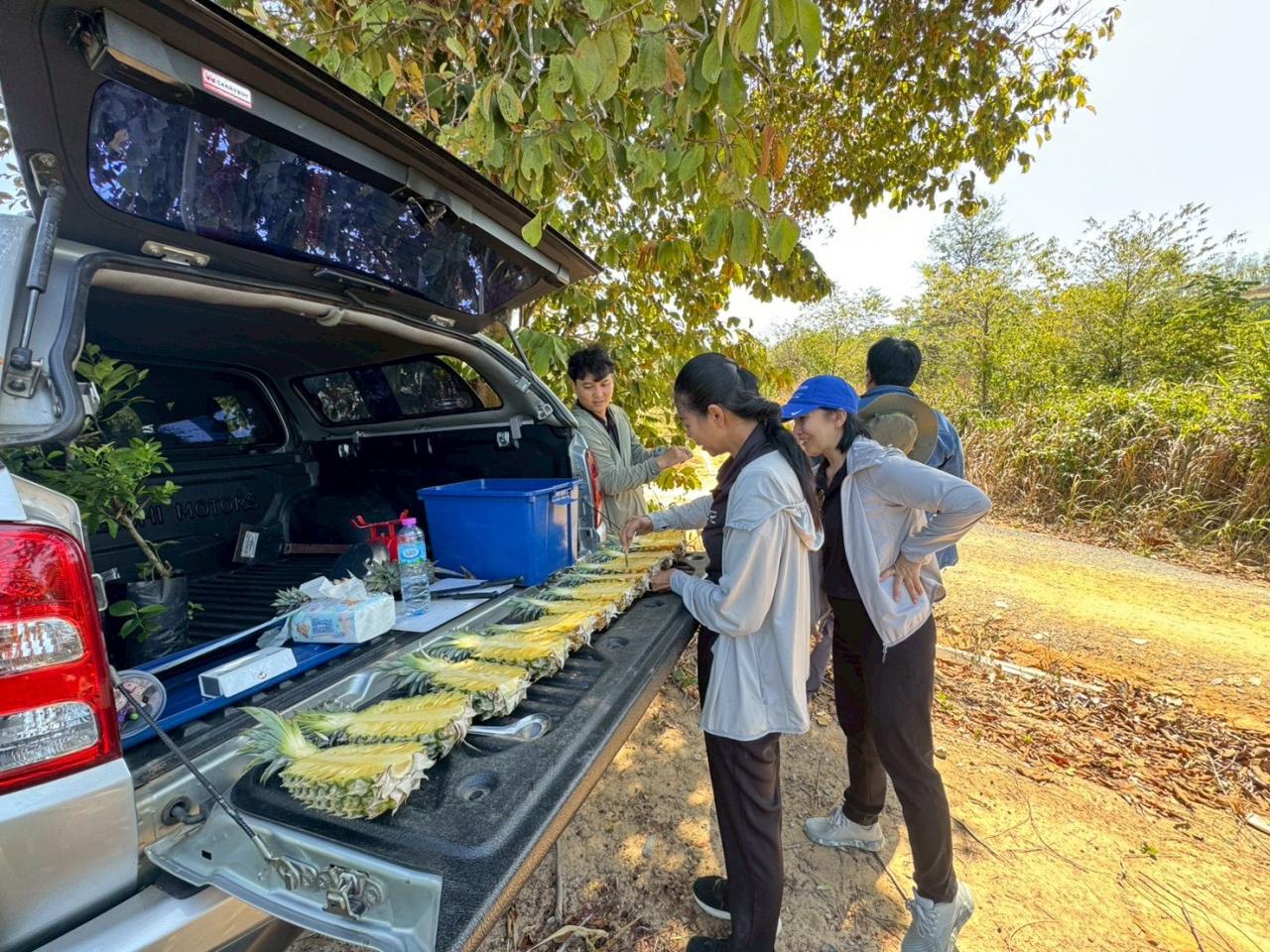 ภาพประกอบที่ 3