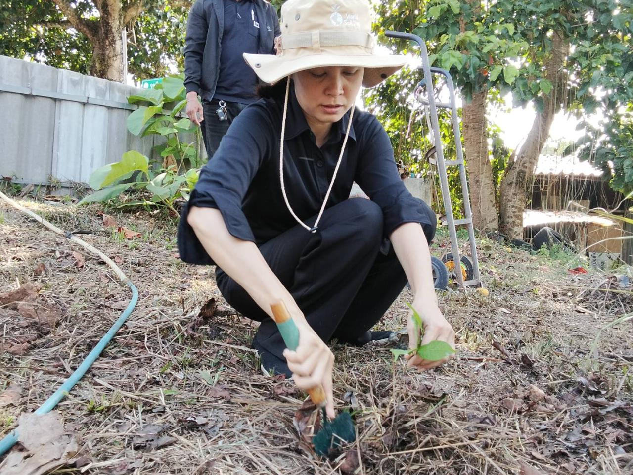 ภาพประกอบที่ 11
