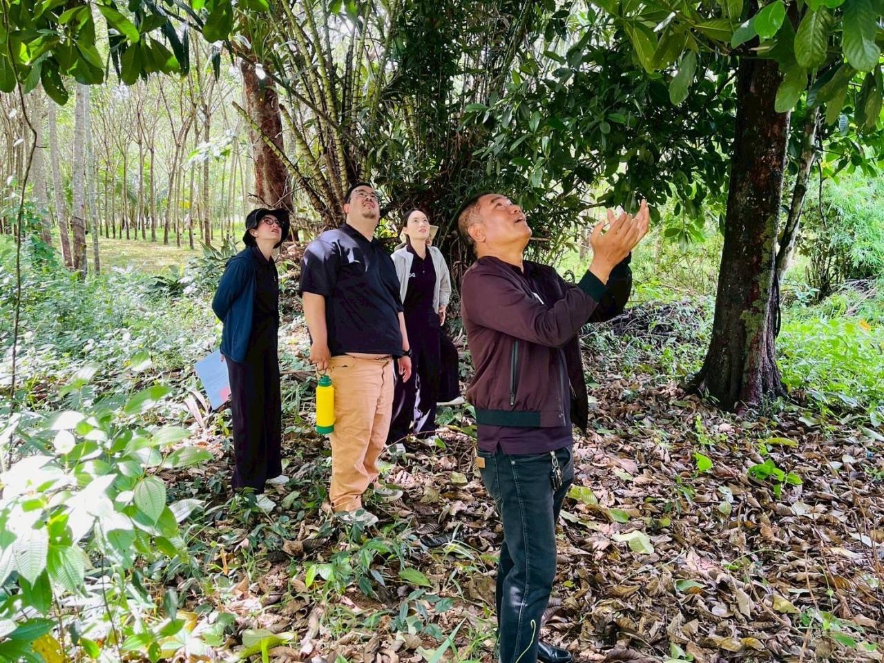ภาพประกอบที่ 3