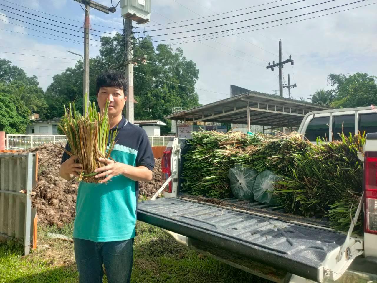 ภาพประกอบที่ 9