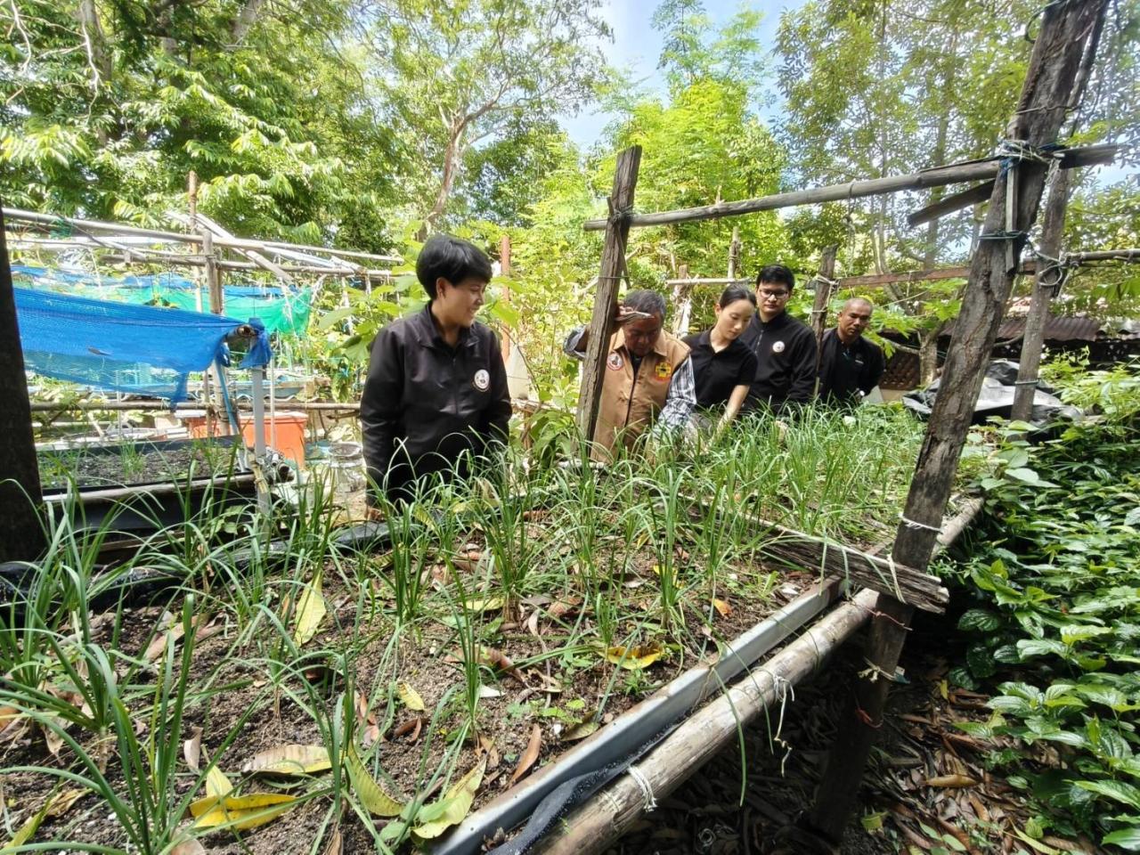 ภาพประกอบที่ 3