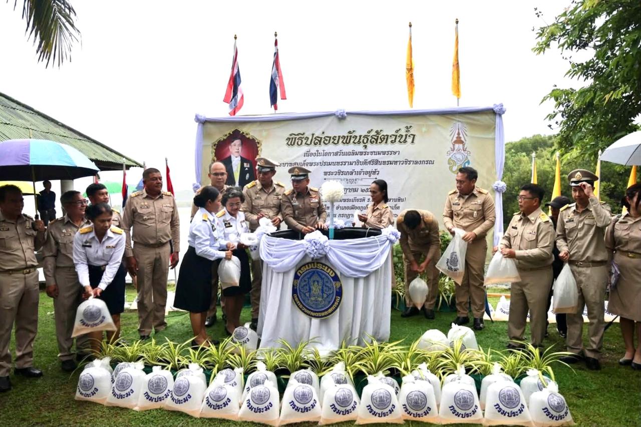ภาพประกอบที่ 3