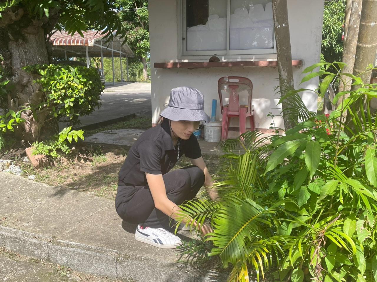 ภาพประกอบที่ 10