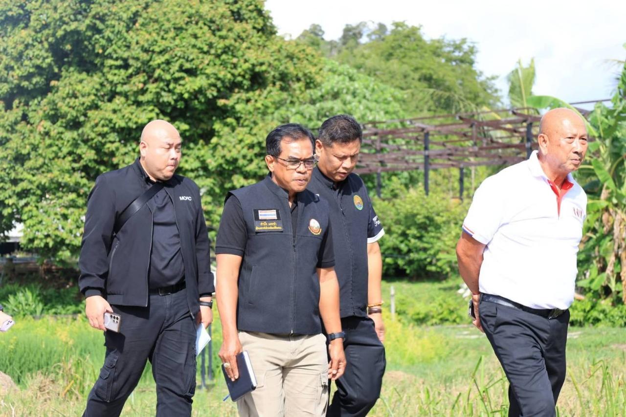 ภาพประกอบที่ 4