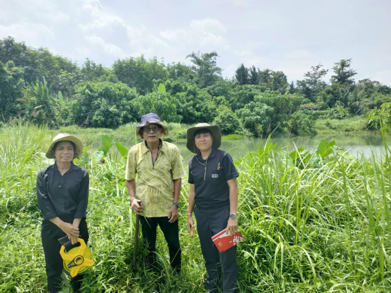 ภาพประกอบที่ 0