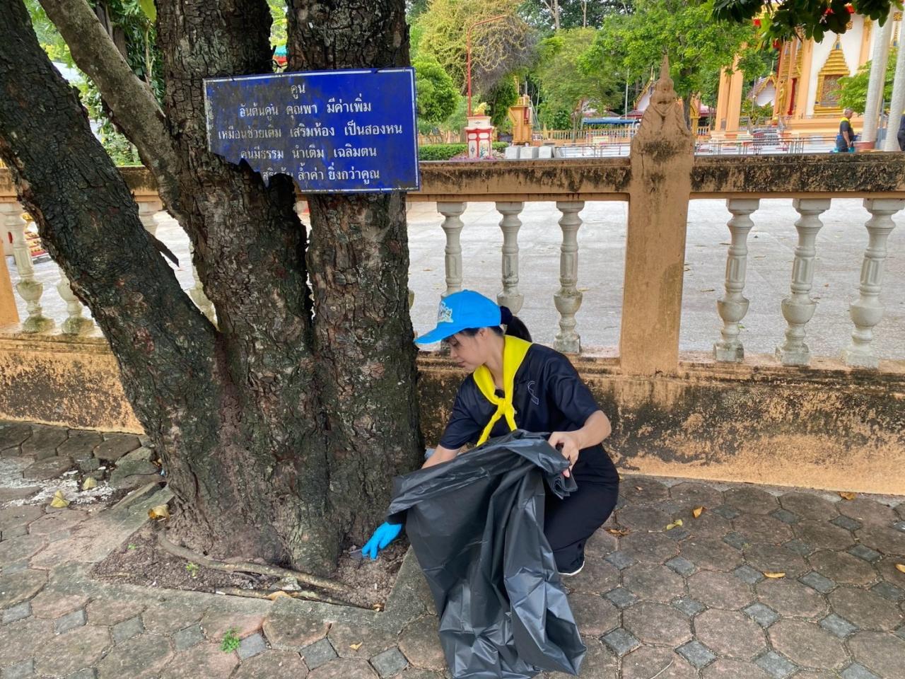ภาพประกอบที่ 11