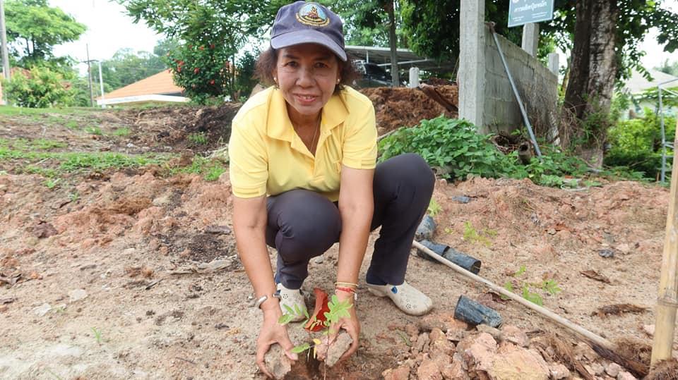 ภาพประกอบที่ 2